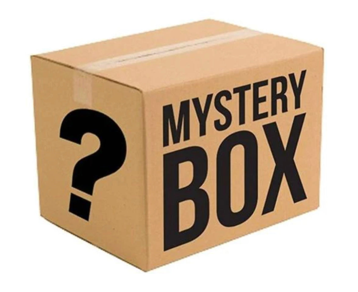 Mystery Box - ALL themes – BrickLuv